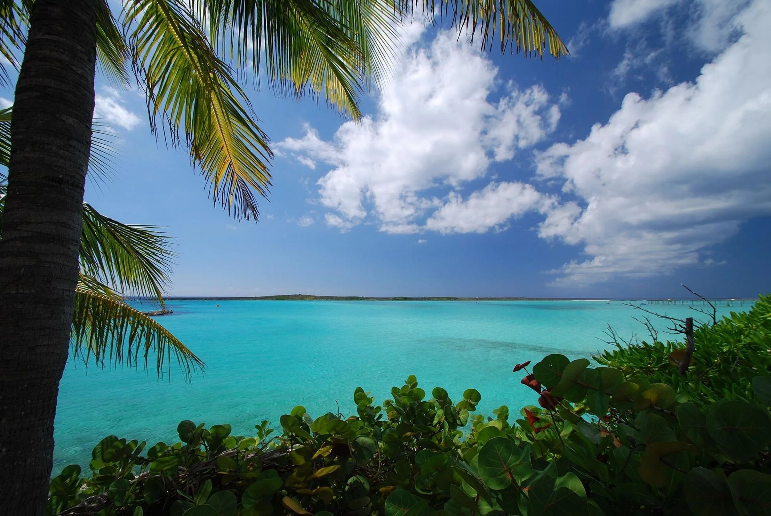 Tropical beach view with turquoise water, blue sky with white clouds, palm trees and lush green foliage.