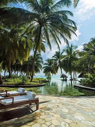 Poolside with lounge chairs, palm trees, and an ocean view in the background.
