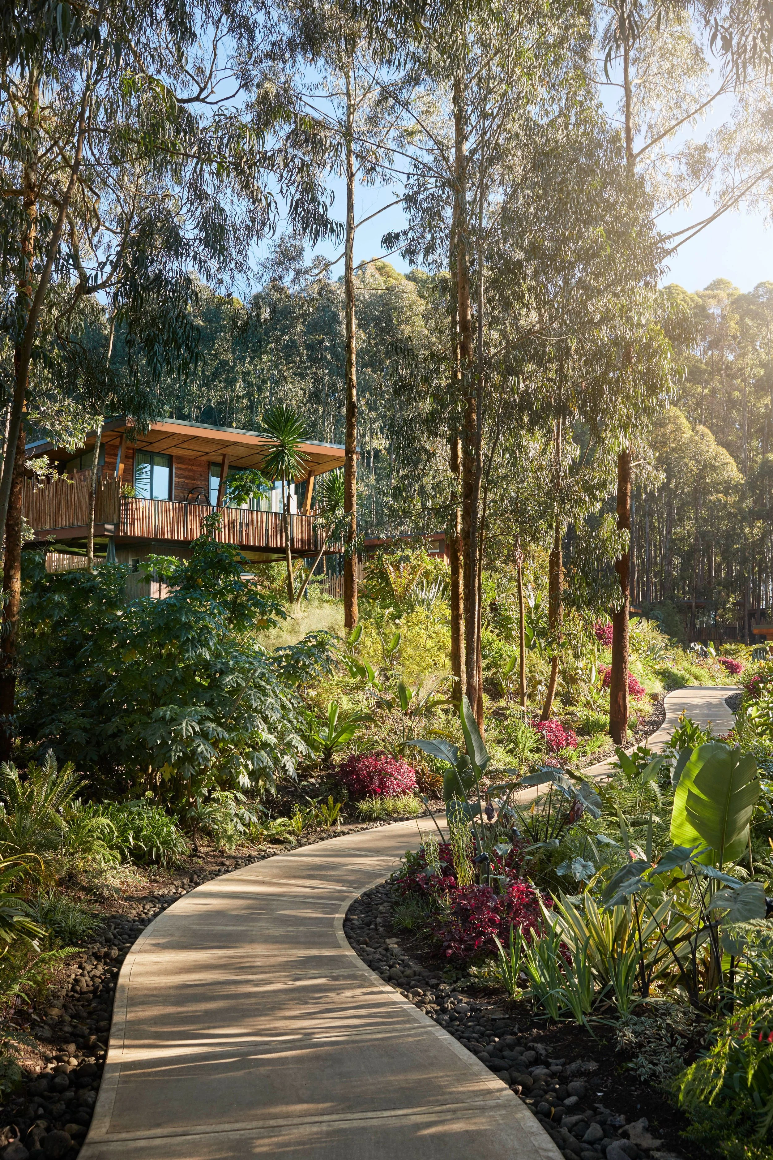 Winding concrete pathway through lush garden with colorful plants surrounded by tall trees and a wooden house in the background.
