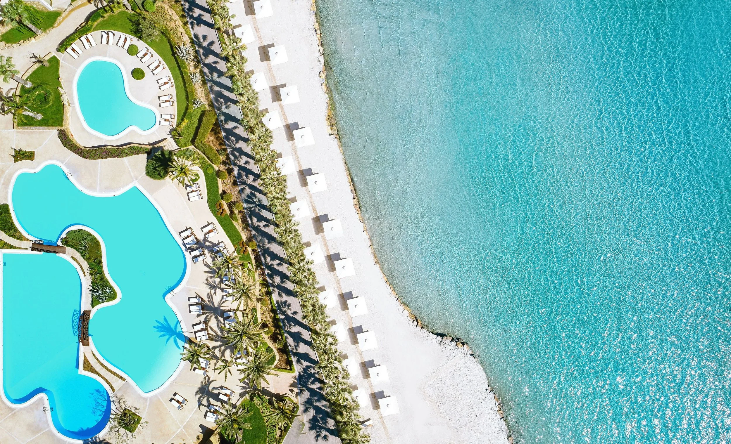 Aerial view of a resort with pools surrounded by lounge chairs, palm trees, and shrubs, located beside a beach with turquoise water.