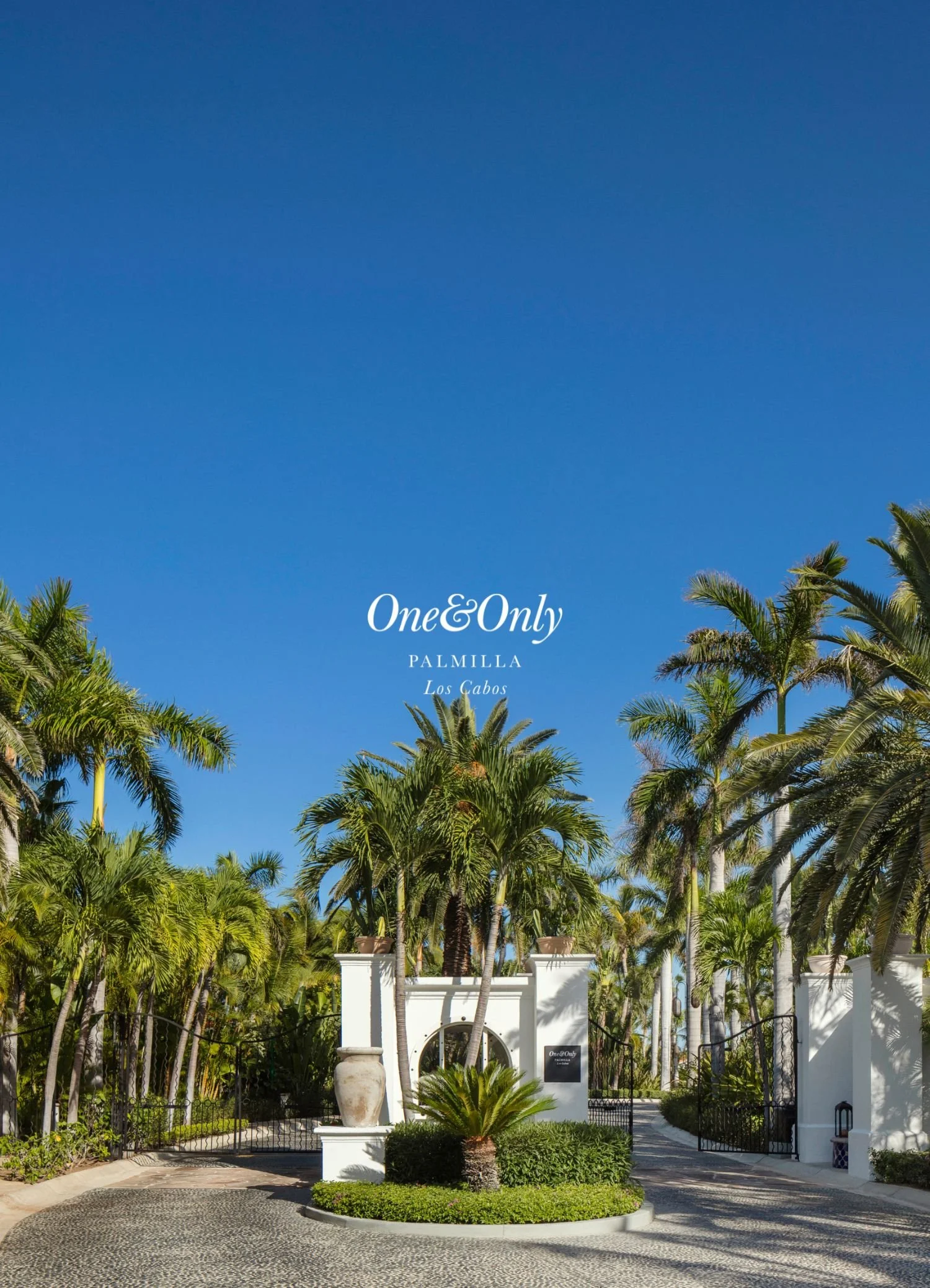 A white building with Mediterranean architecture entrance, surrounded by tall palm trees, under a clear blue sky in Palmilla, Los Cabos.
