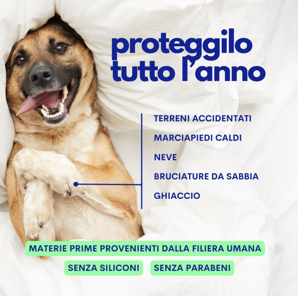 Screenshot 2026-06-18 alle 17.59.15.png