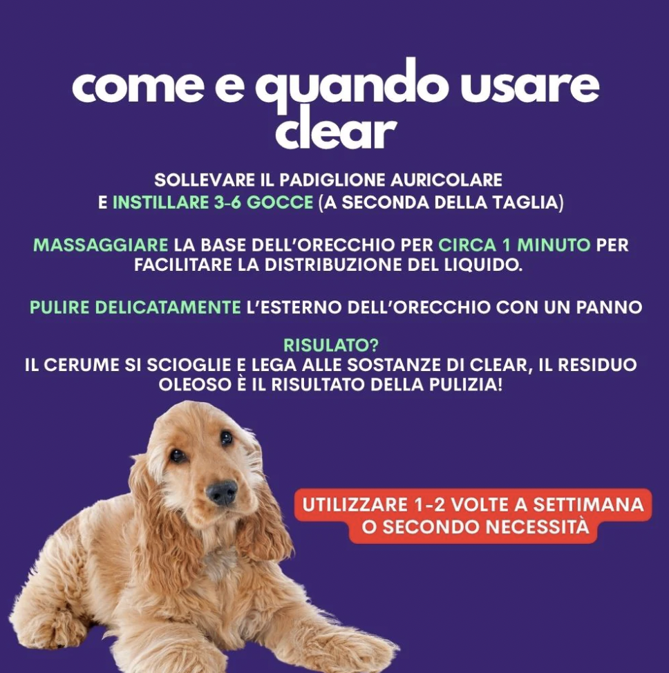 Screenshot 2026-06-18 alle 18.03.26.png