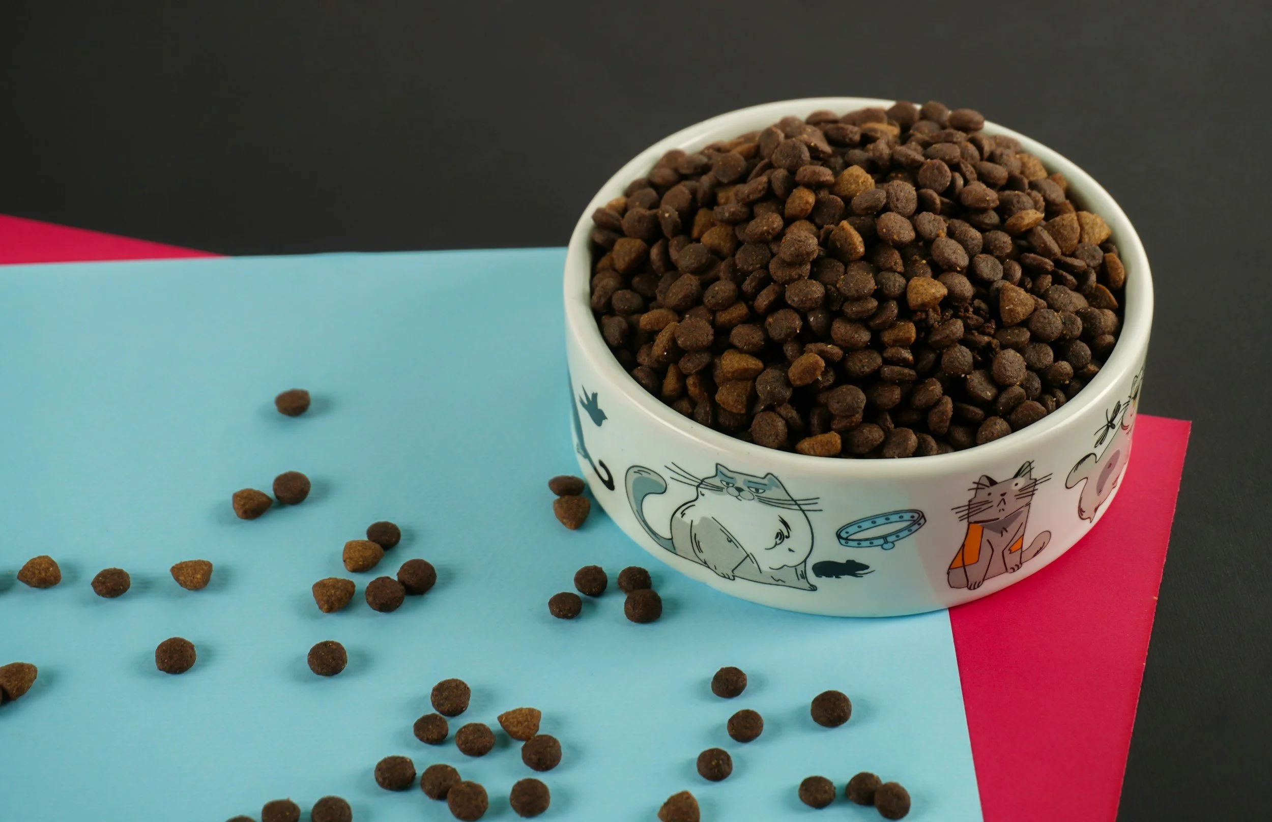Why We Don’t Feed Kibble at HolistiCats
