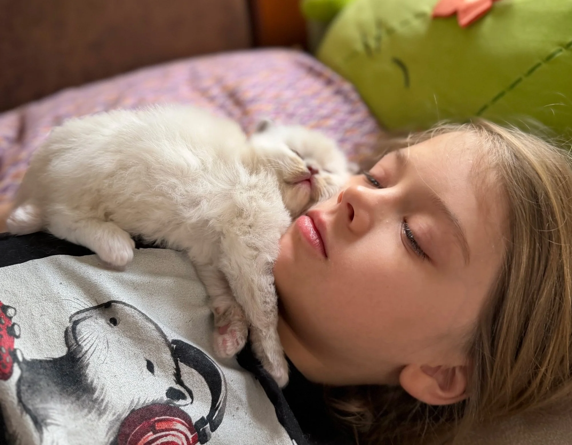 A young girl with red hair and a gray shirt lying down with eyes closed, holding a white kitten close to her face.