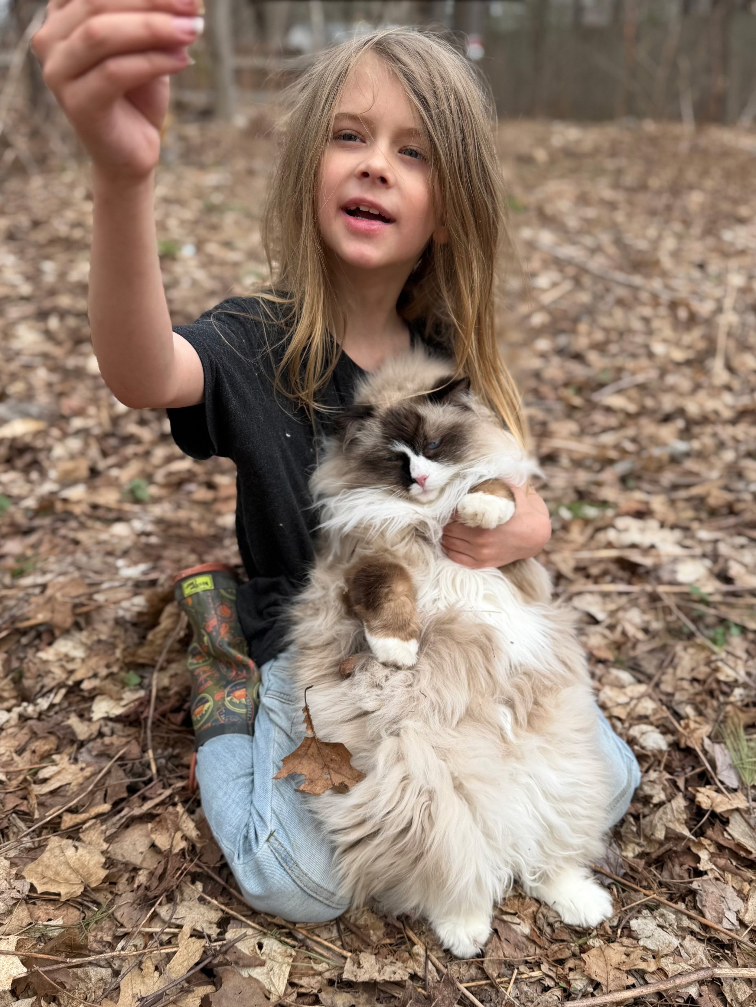 A young girl with long blonde hair, wearing a black shirt and light blue jeans, sitting on the ground in a forest, holding a fluffy Ragdoll cat with a brown face, ears, and paws, and white fur on its body, while pointing at the camera.
