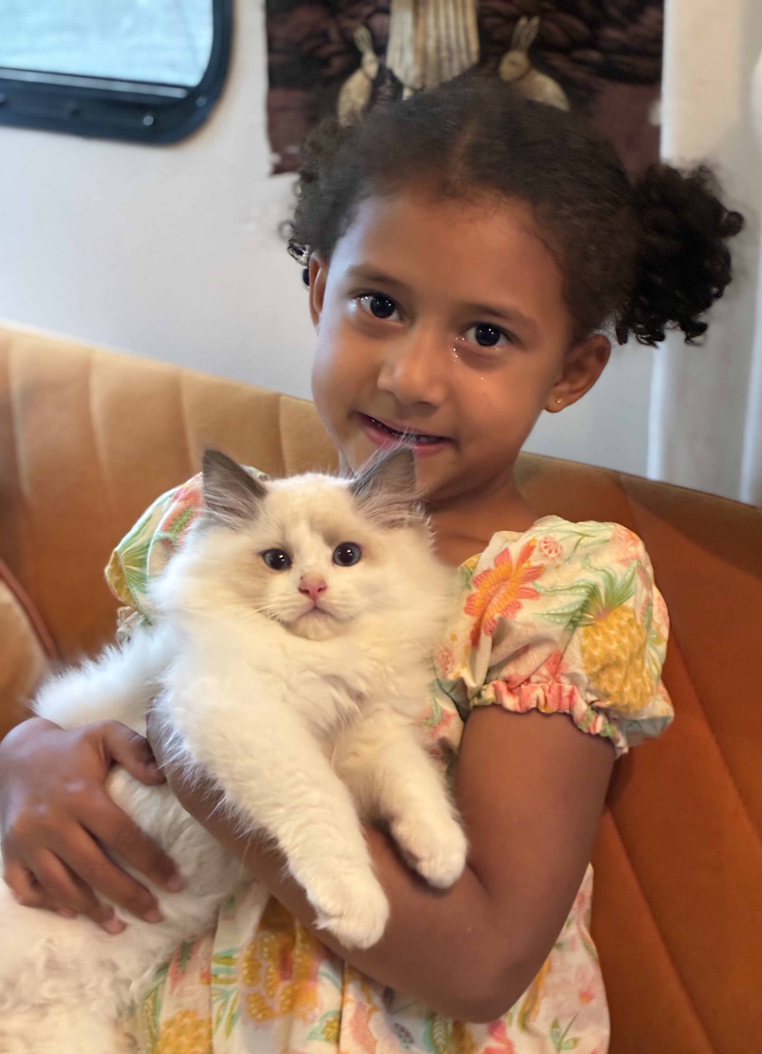 A young girl with dark hair in puffs holding a fluffy white kitten with blue eyes, sitting in a restaurant or cafe with a wooden bench and a brown wall with a tapestry featuring rabbits in the background.
