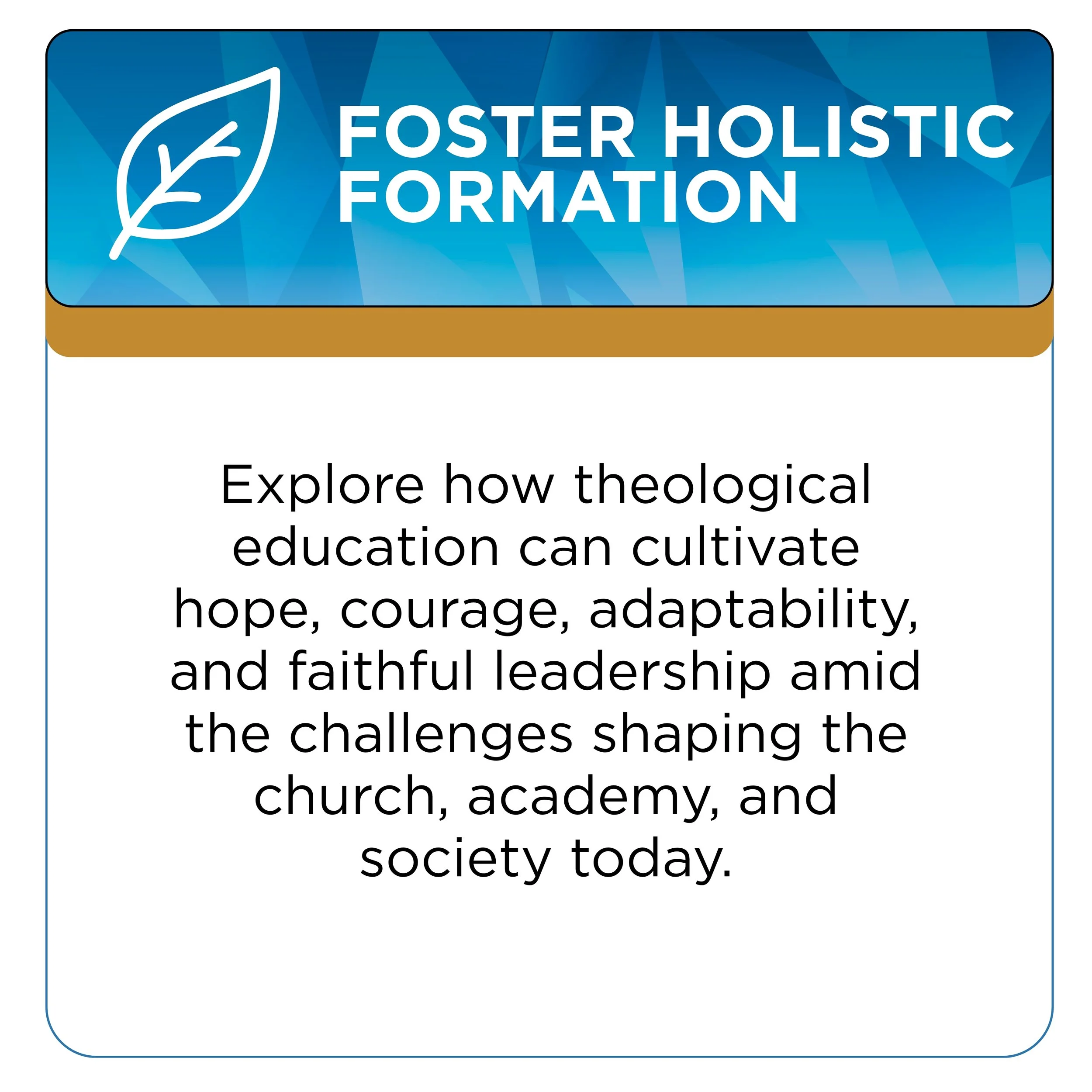Foster Holistic Formation