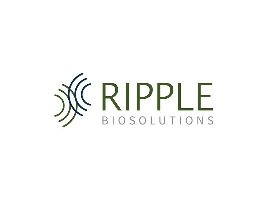 ripple.jpg