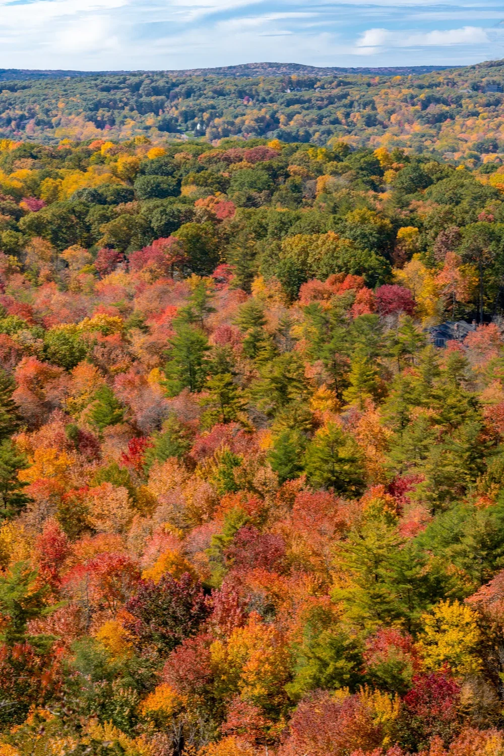 A vast forest with trees displaying vibrant fall colors like red, orange, yellow, and green, under a partly cloudy sky.