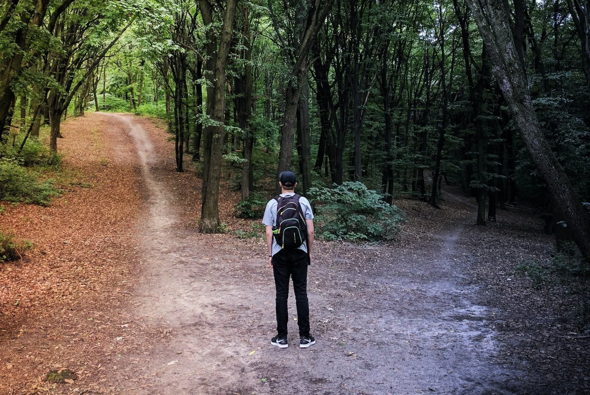 Real Estate Decision-Making: 7 Strategies for Avoiding Paralysis by Analysis