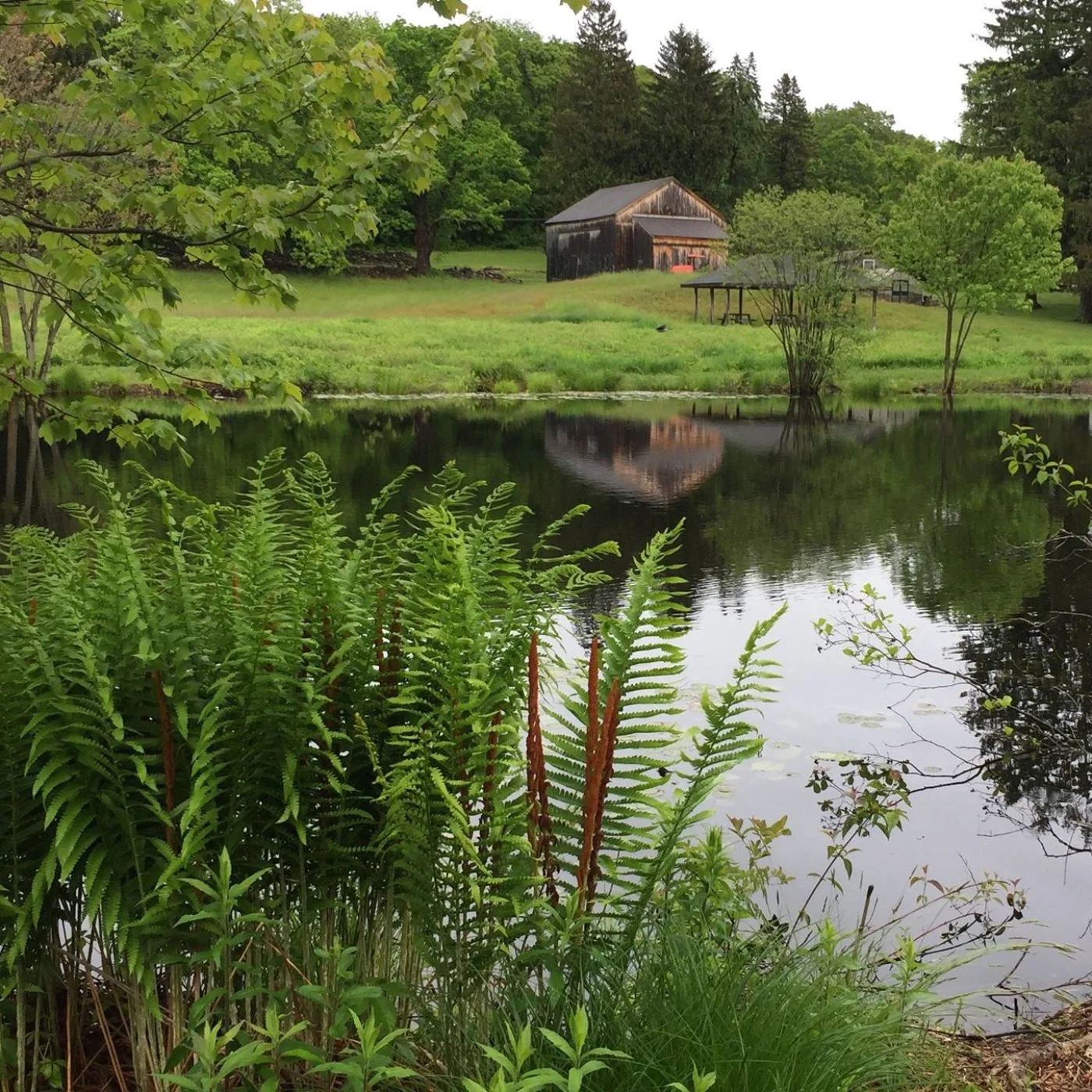 Unbundled PM - Investment Guides - Madison CT - Bauer Park
