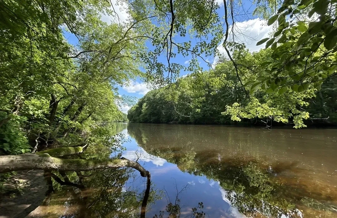 A peaceful river scene surrounded by lush green trees under a partly cloudy sky, with reflections visible on the water surface.