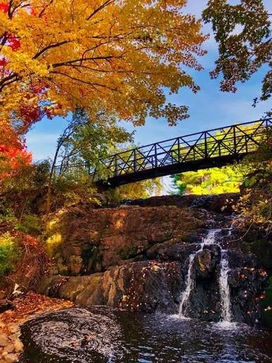 Unbundled PM - Investment Guides - Newington CT