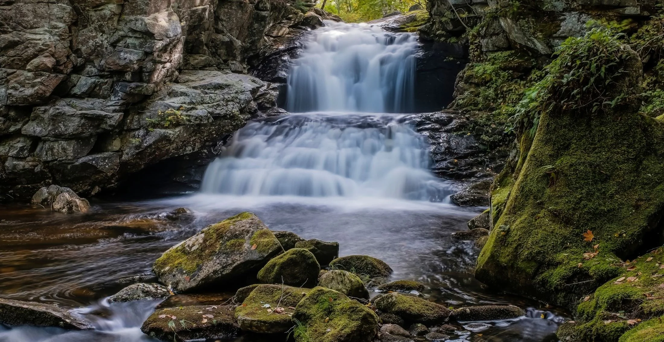 A small waterfall flowing over rocks in a forested area, with moss-covered stones and lush green plants surrounding it.