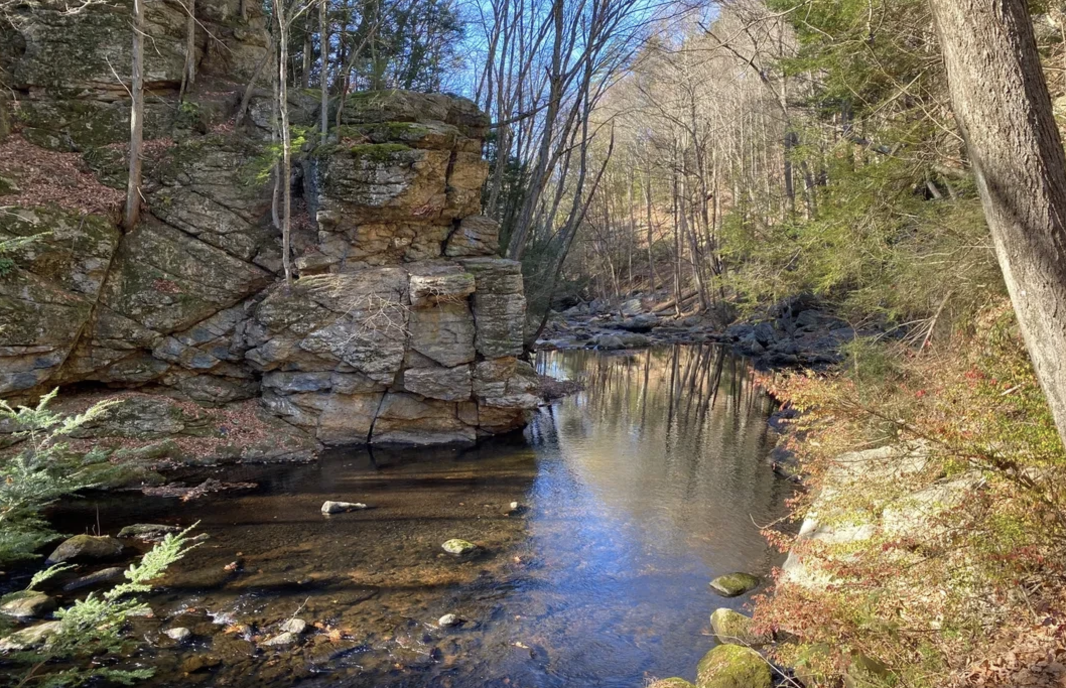 Unbundled PM - Investment Guides - Cotton Hollow Preserve