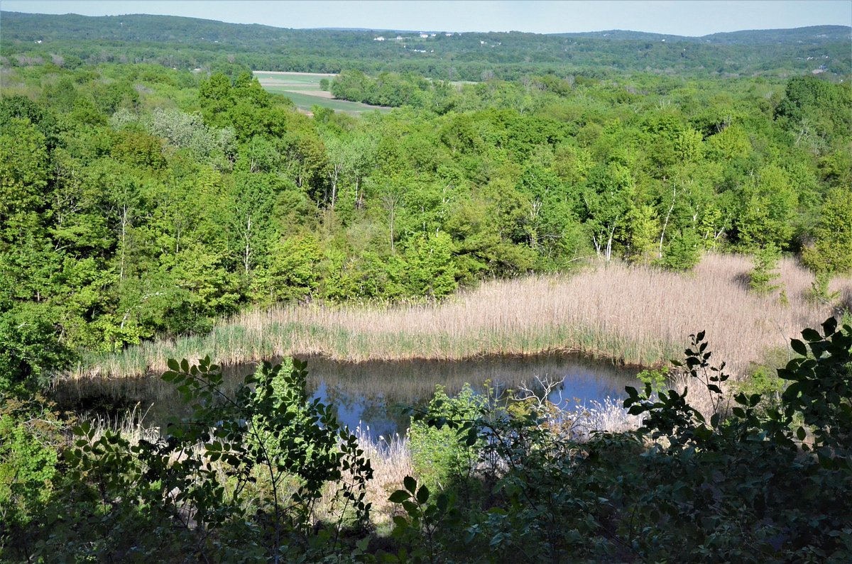 Unbundled PM - Investment Guides - Rocky Hill CT - Quarry Park