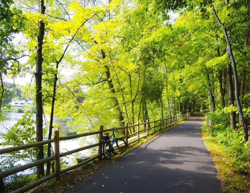 A scenic paved trail with lush green trees on both sides and a wooden fence along a body of water, with a bicycle leaning against the fence.
