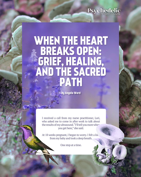 Title page for Angela Ward's article in the most recent Psychedelic Pathways Magazine