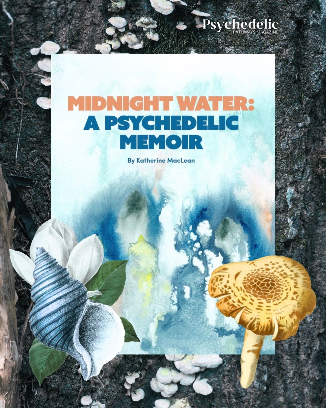 What does it mean to remain fully present with someone in their final moments? In this excerpt from&nbsp;Midnight Water, Katherine MacLean reflects on accompanying her sister through death, offering an intimate meditation on love, loss, and the profo