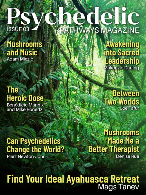 Issue 3: Find Your Ideal Ayahuasca Retreat