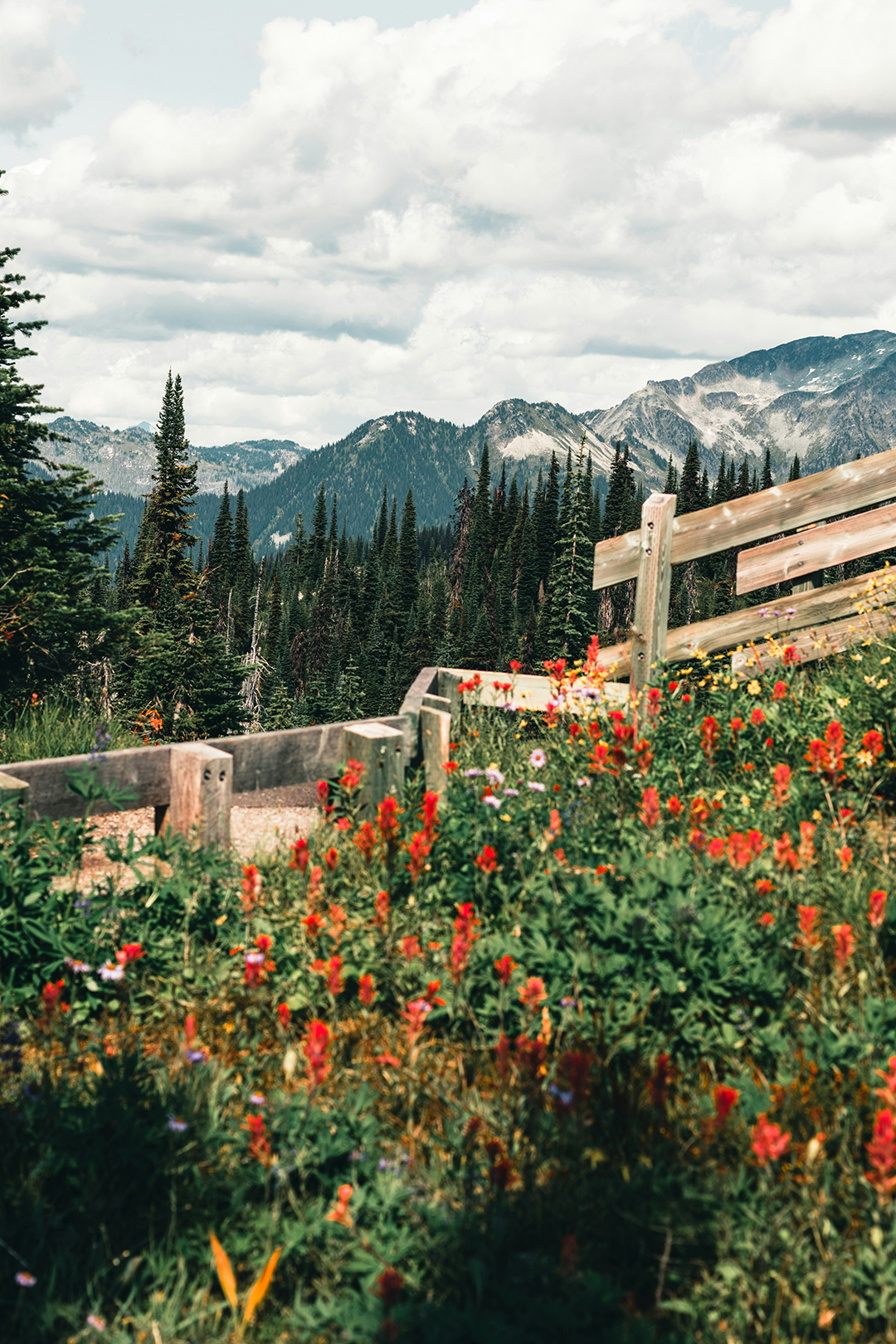 Revelstoke's only local luxury portable restroom rental for weddings, parties and festivals.