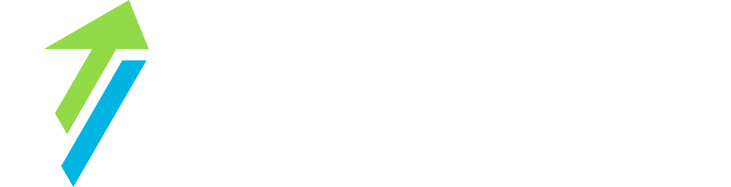 Velotoro
