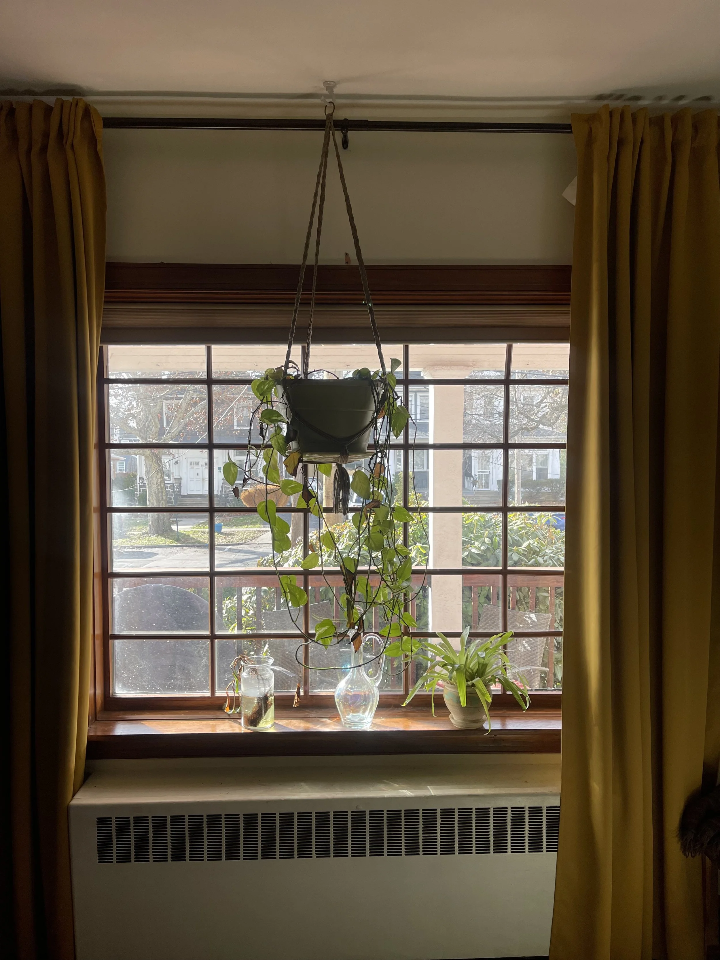 IMG_5677.jpeg