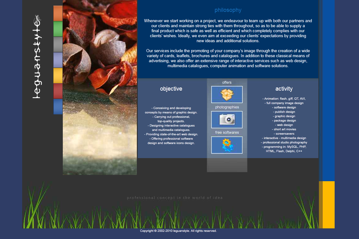 A digitally designed webpage with a dark gray background, green grass at the bottom, and a large section on the left with an abstract art on a textured surface. The right side has a blue background with white text describing company philosophy, objectives, offers, and activities, with small icons of a box, camera, and gear in the center.
