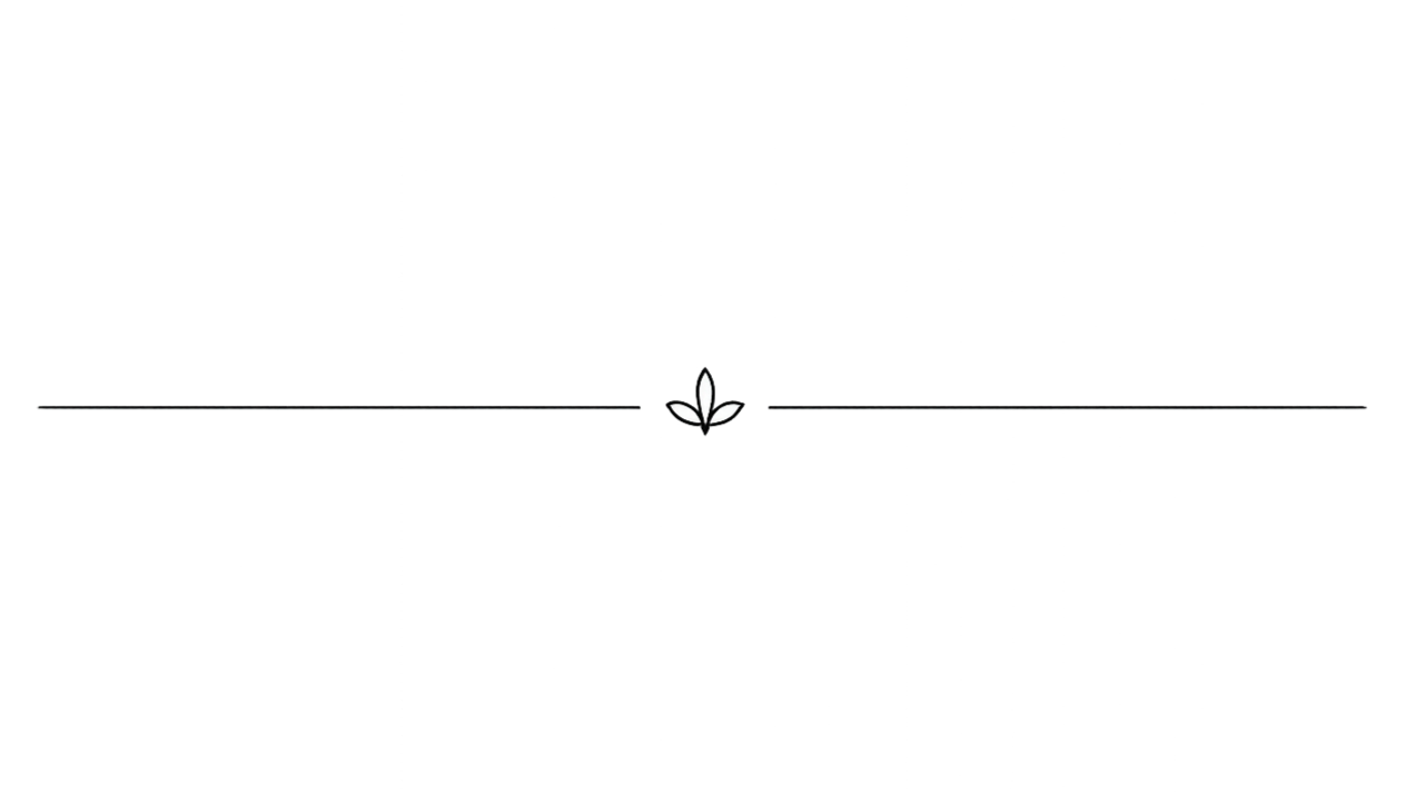 Une ligne d'horizon avec un symbole de feuille et une ligne de rythme ou de progression en dessous.