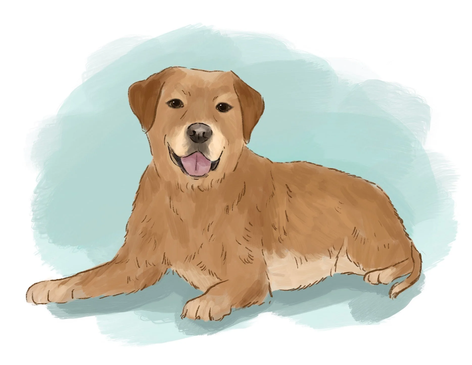 Pet Cute Style Custom Cartoon Portrait