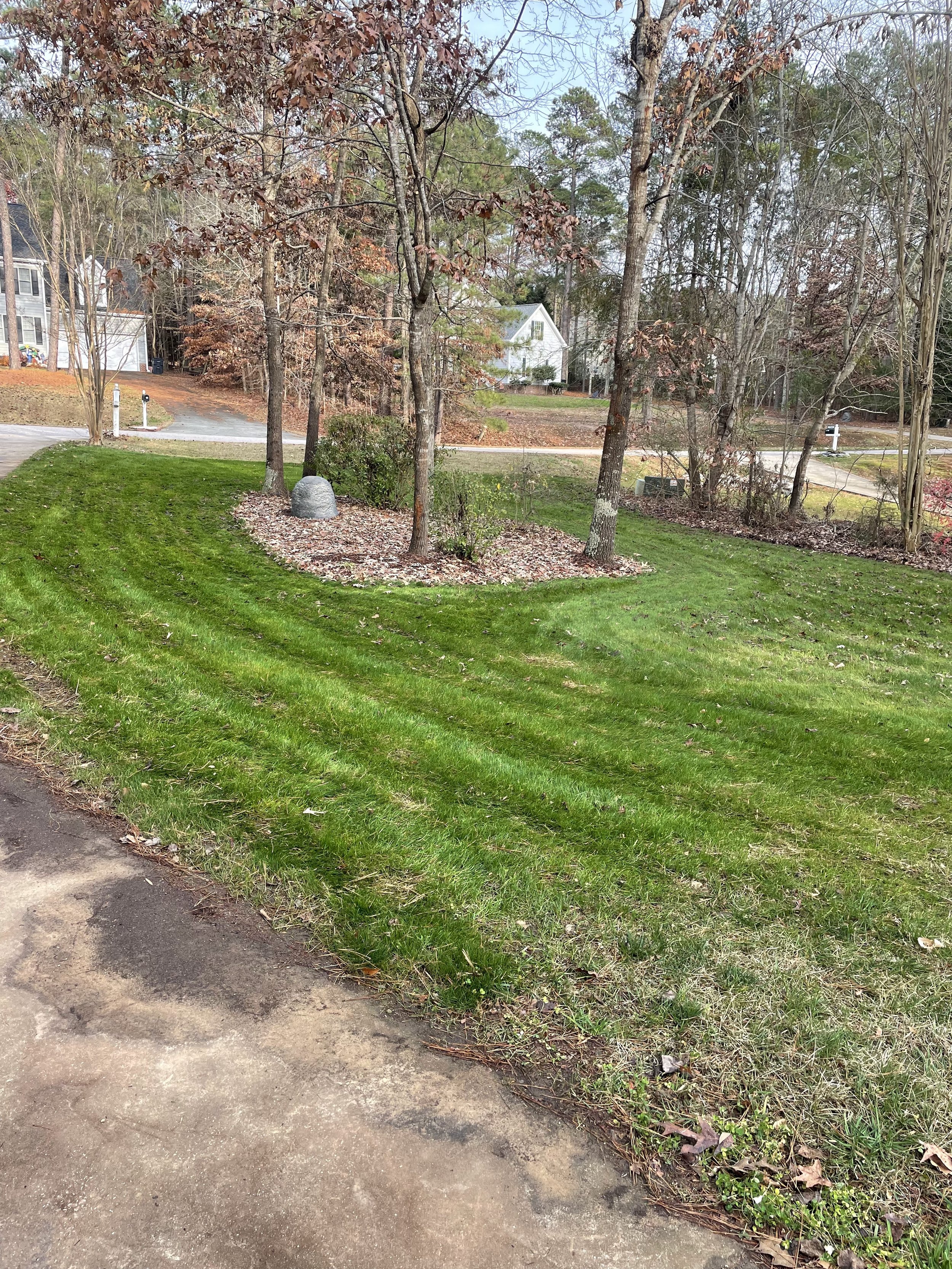 69187586689__639E506A-8BCF-4710-9C9E-AE75E0632D2A.fullsizerender.jpg