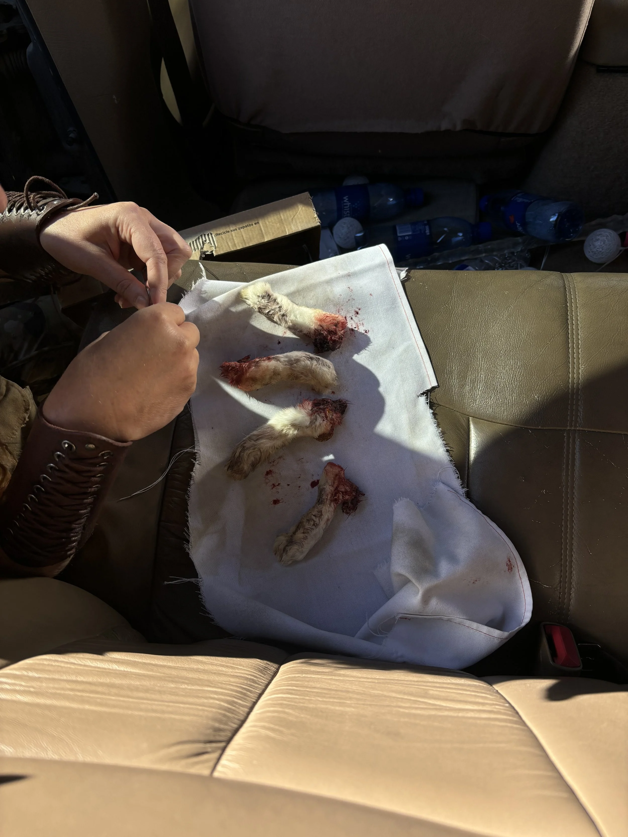 A person sewing a small animal, possibly a bird, on a white cloth in a car. The bird's alive, with part of it bloodied, and its legs are visible. The car's back seat and several water bottles are in the background.