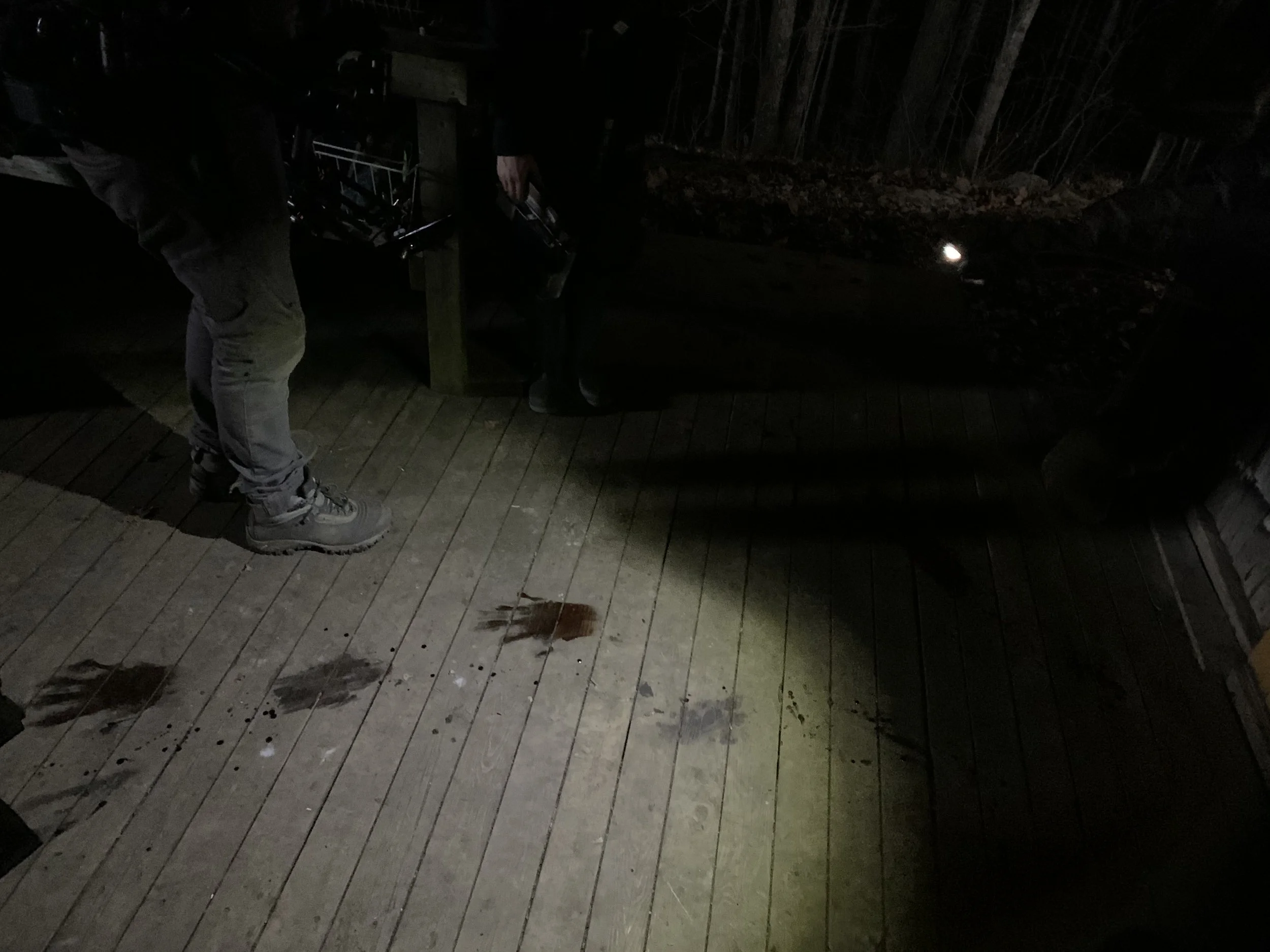 Dark outdoor scene at night with two people partially visible; one person on the left wears beige cargo pants and hiking boots, and another person on the right holds a small flashlight illuminating a bloodstain on a wooden deck. The background includ