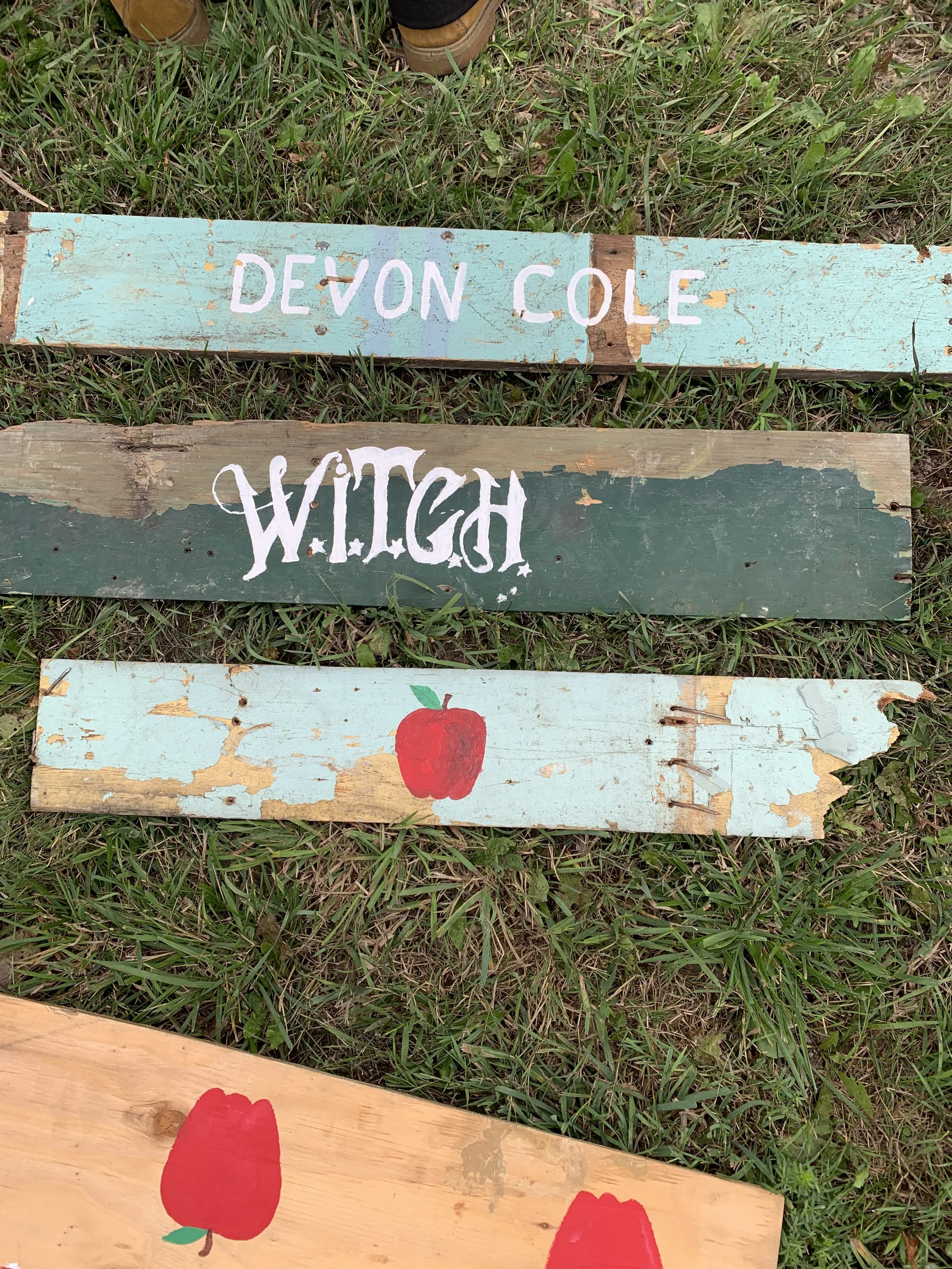 Three painted wooden signs on grass with different texts and images. The top sign is light blue with white text "DEVON COLE"; the middle sign is weathered green with white text "WITCH" and a drawing of a red apple with green leaves below; the bottom 