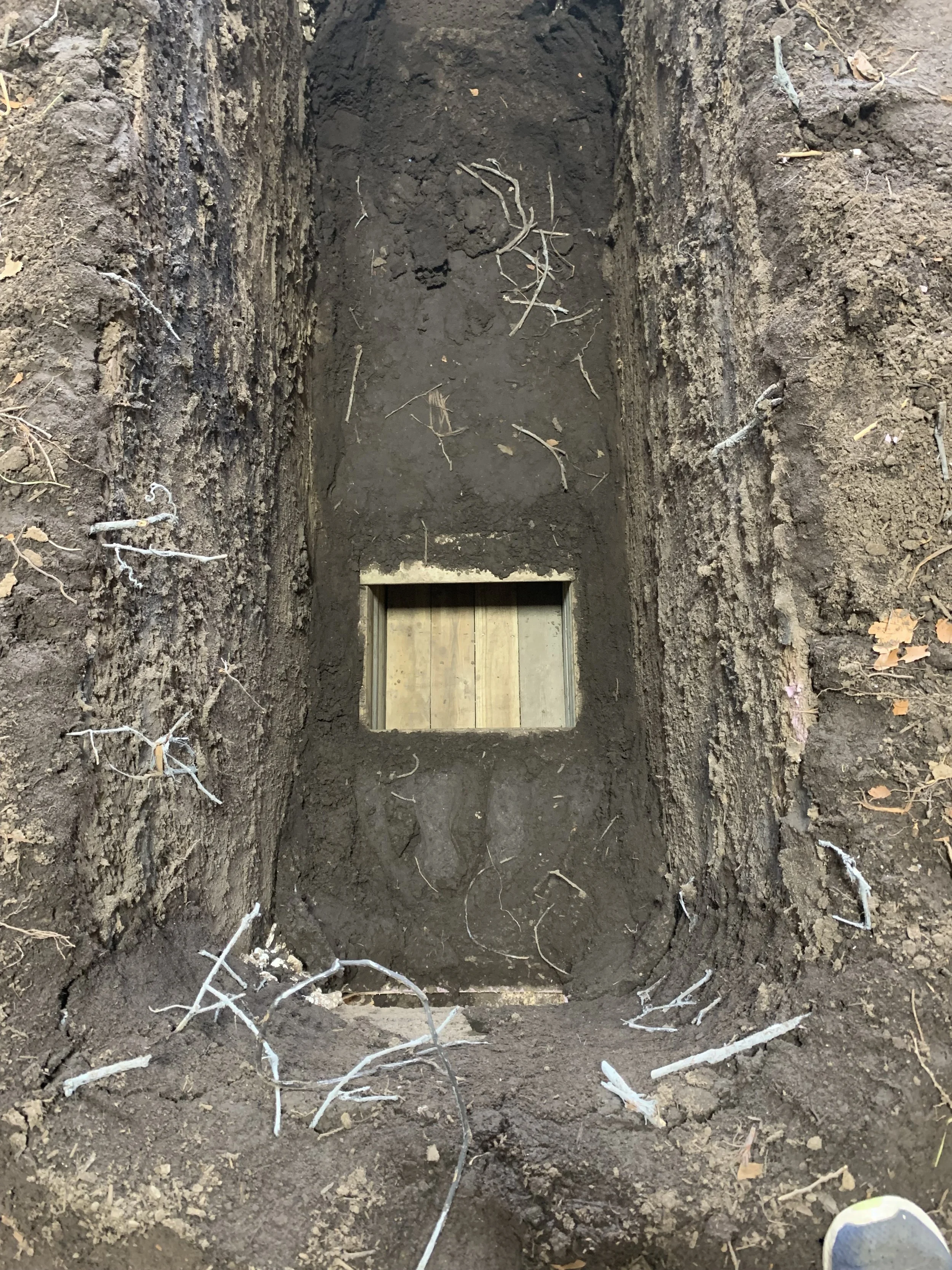 A large rectangular hole in the ground with four wooden planks across the bottom, surrounded by loose soil and dirt with some roots and small sticks scattered around.