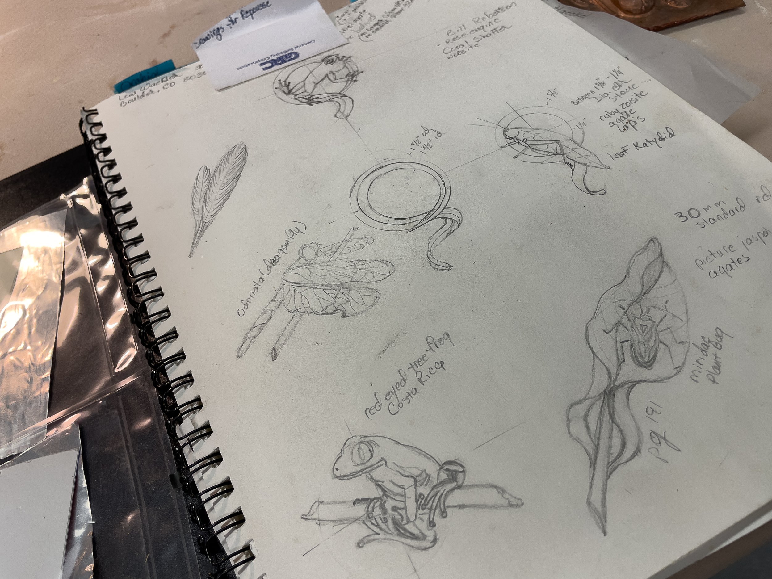 Sketches and notes of various insects and animals, including a dragonfly, a bird, and a small mammal, on a sheet of paper. There are additional annotations and a ring-shaped drawing.