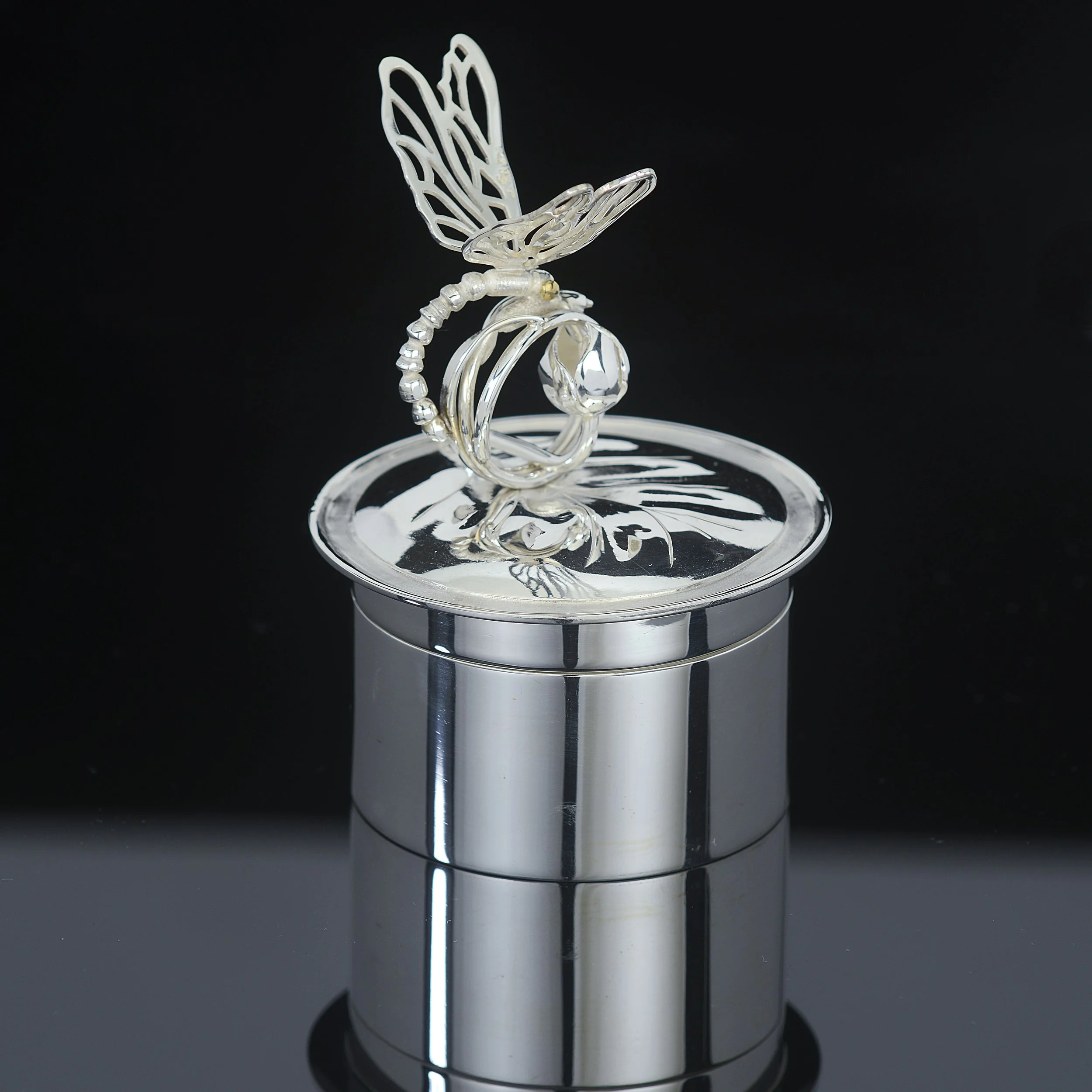 Waterlily Dragonfly Closed CB.jpg