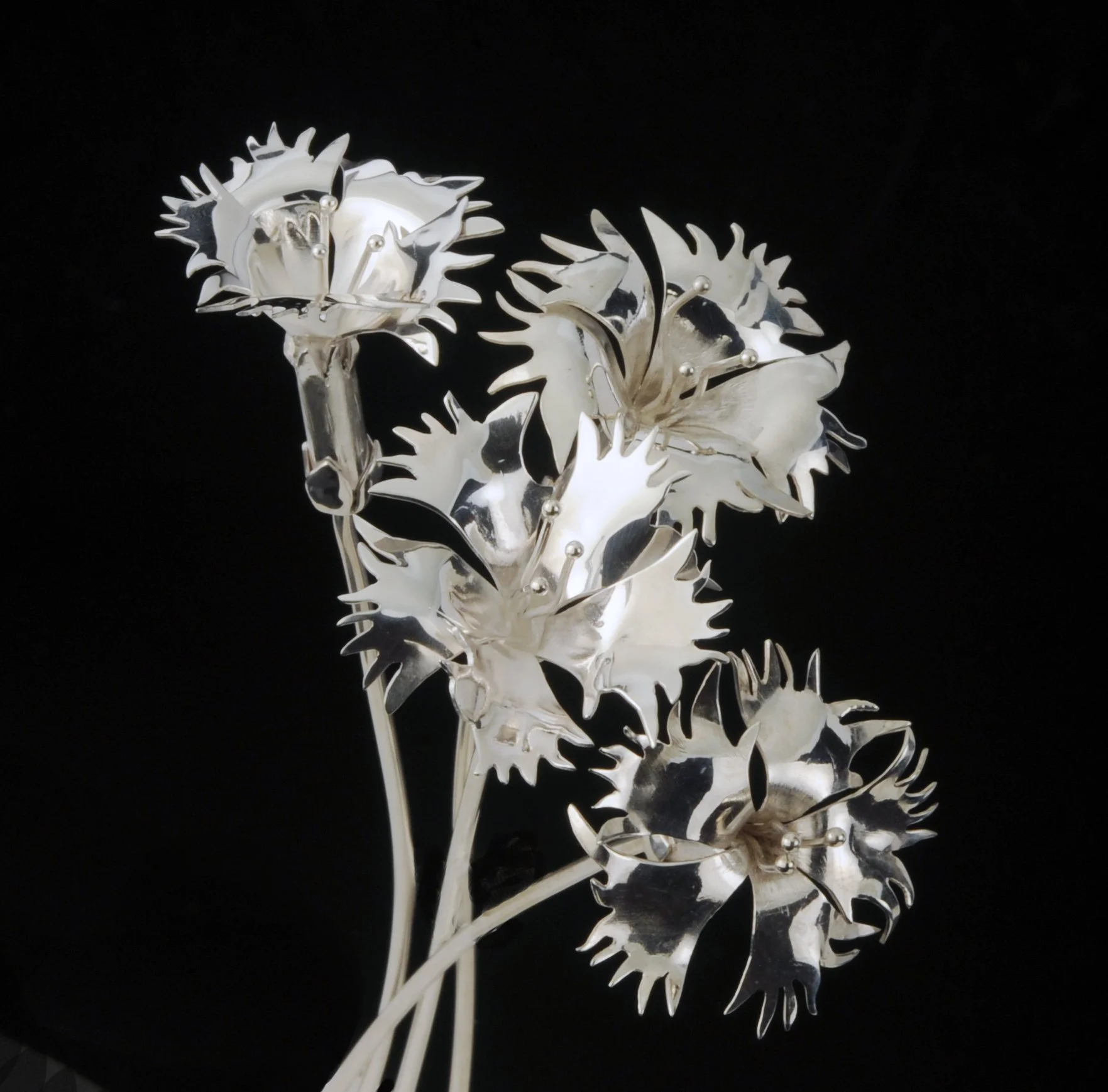 DIANTHUS STEMS 2 copy.jpg