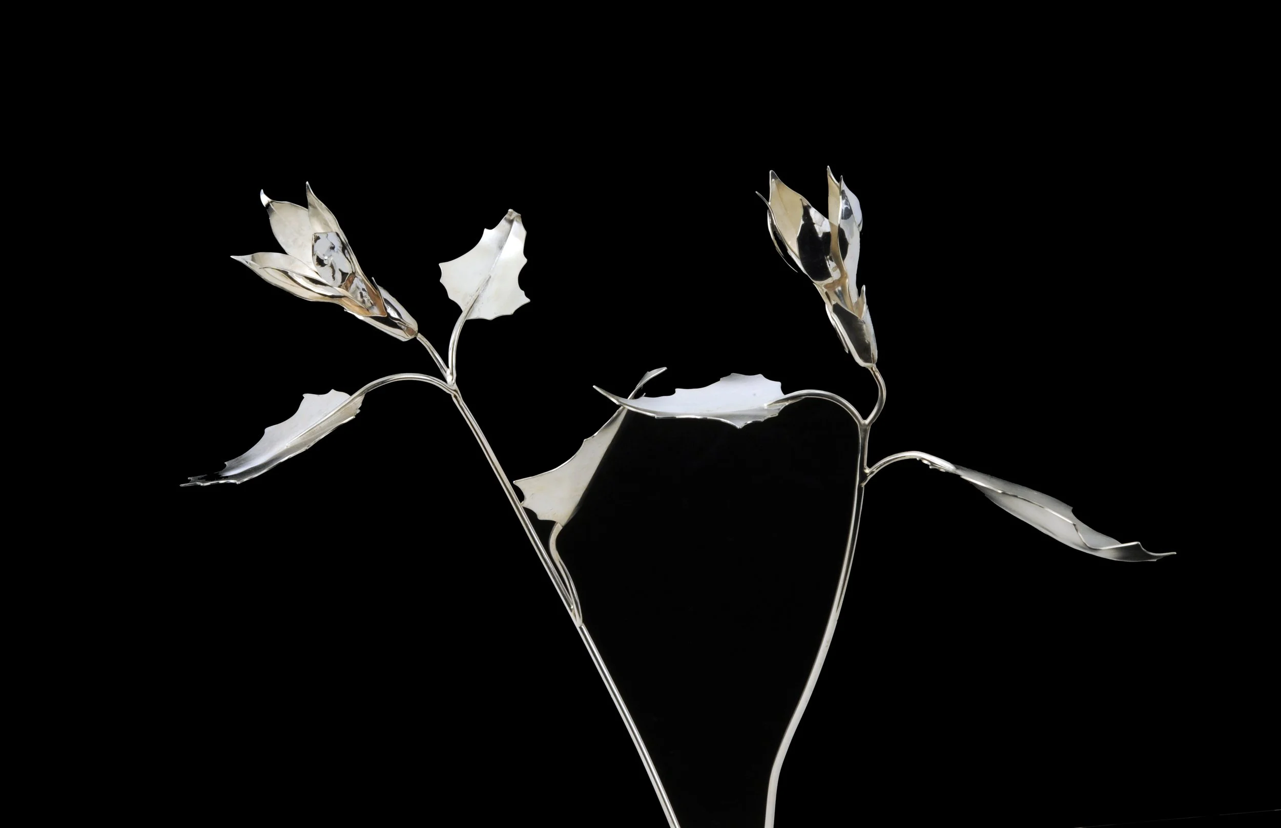Datura (Jimson Weed) Stems
