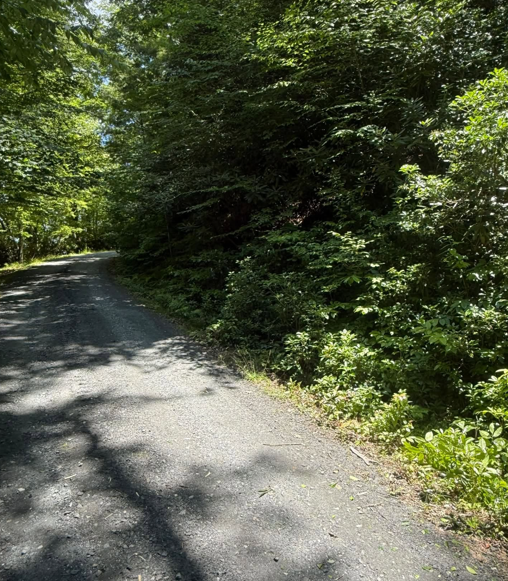 Professional land clearing and forestry mulching completed in Asheville, NC for future development.