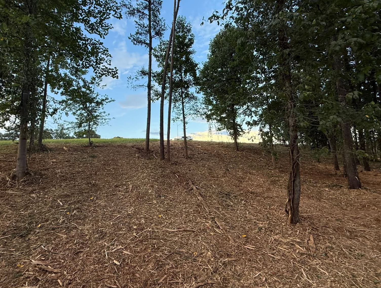 Drainage improvements completed in Simpsonville, SC helping prevent erosion and standing water.