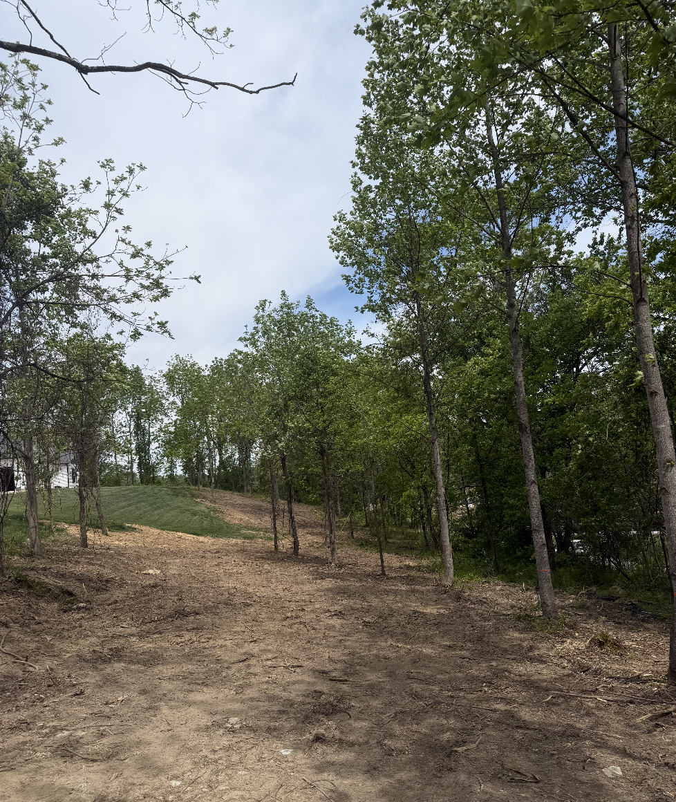 Heavy brush clearing completed in Greenville, South Carolina.