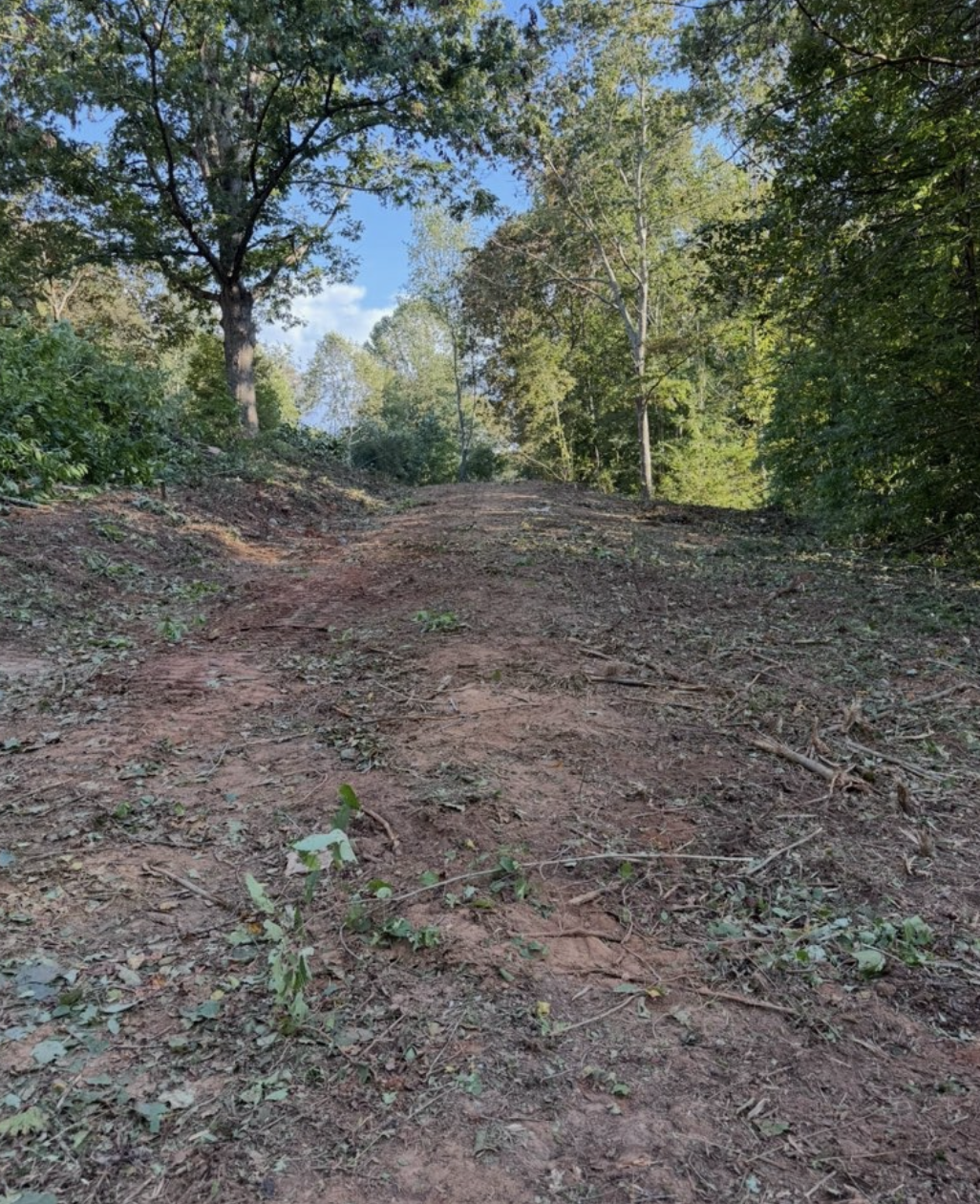 Forestry mulching on a residential lot in Greenville, South Carolina.