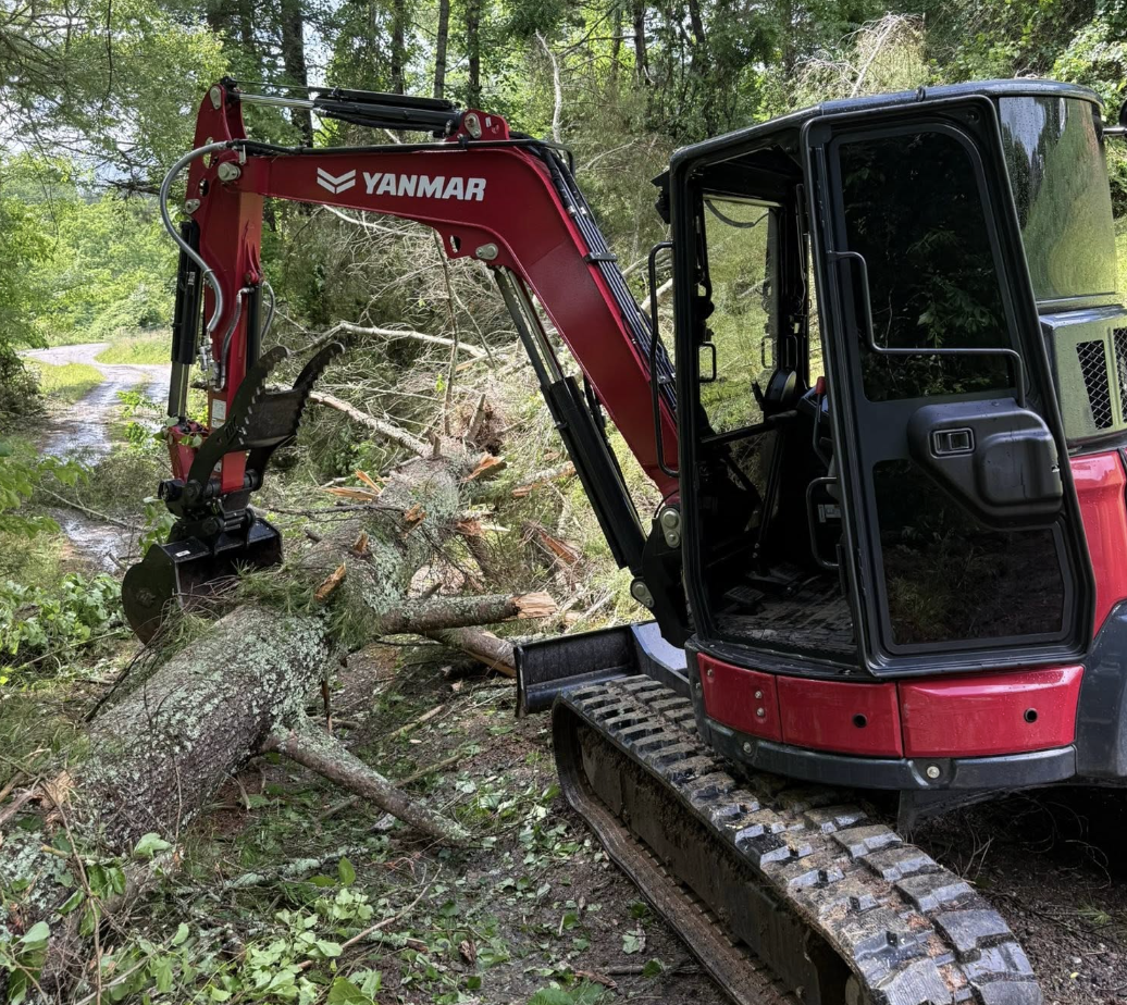 Commercial forestry mulching services in Anderson, South Carolina.