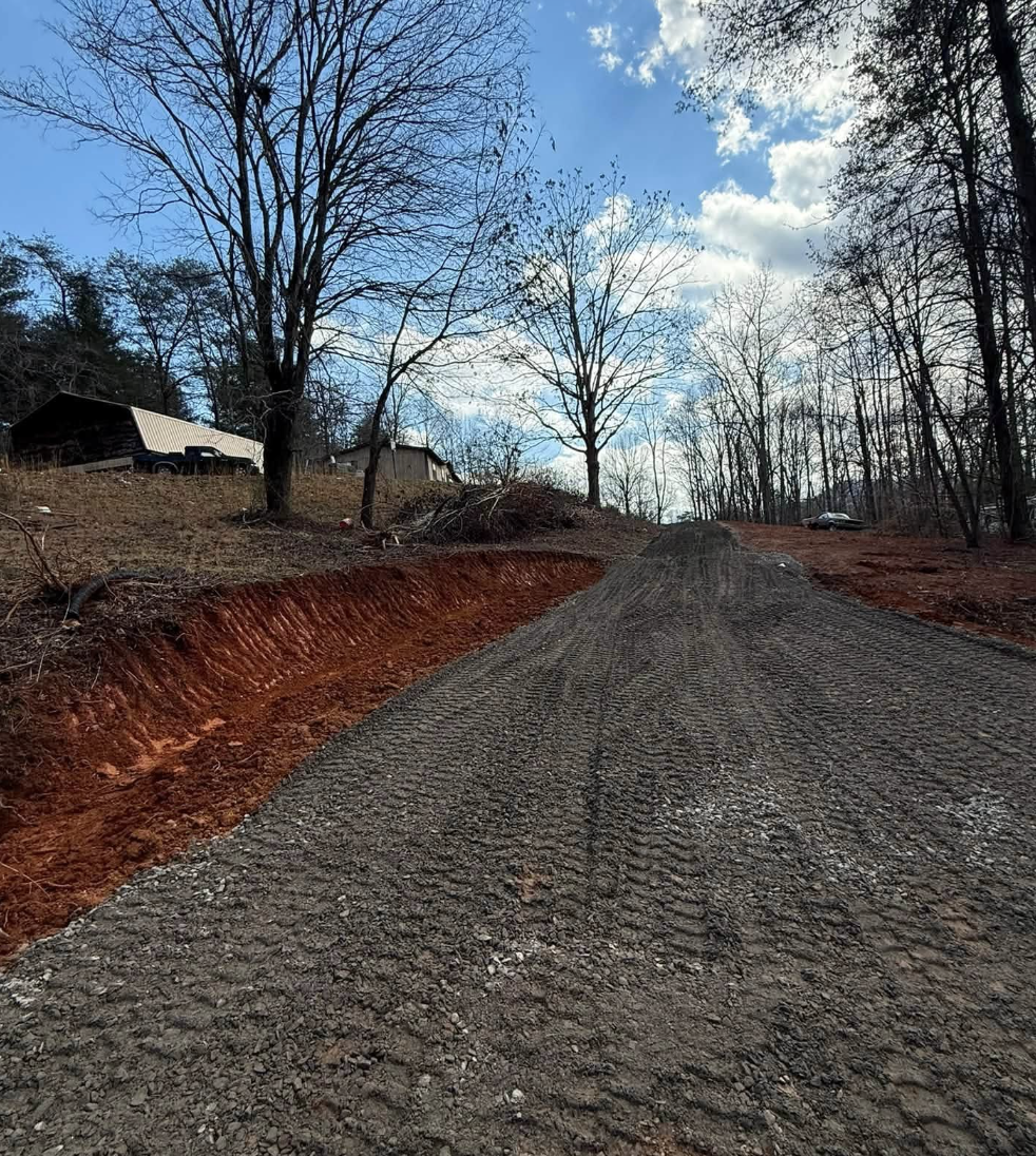 Forestry mulching services completed in Black Mountain, NC restoring overgrown land.