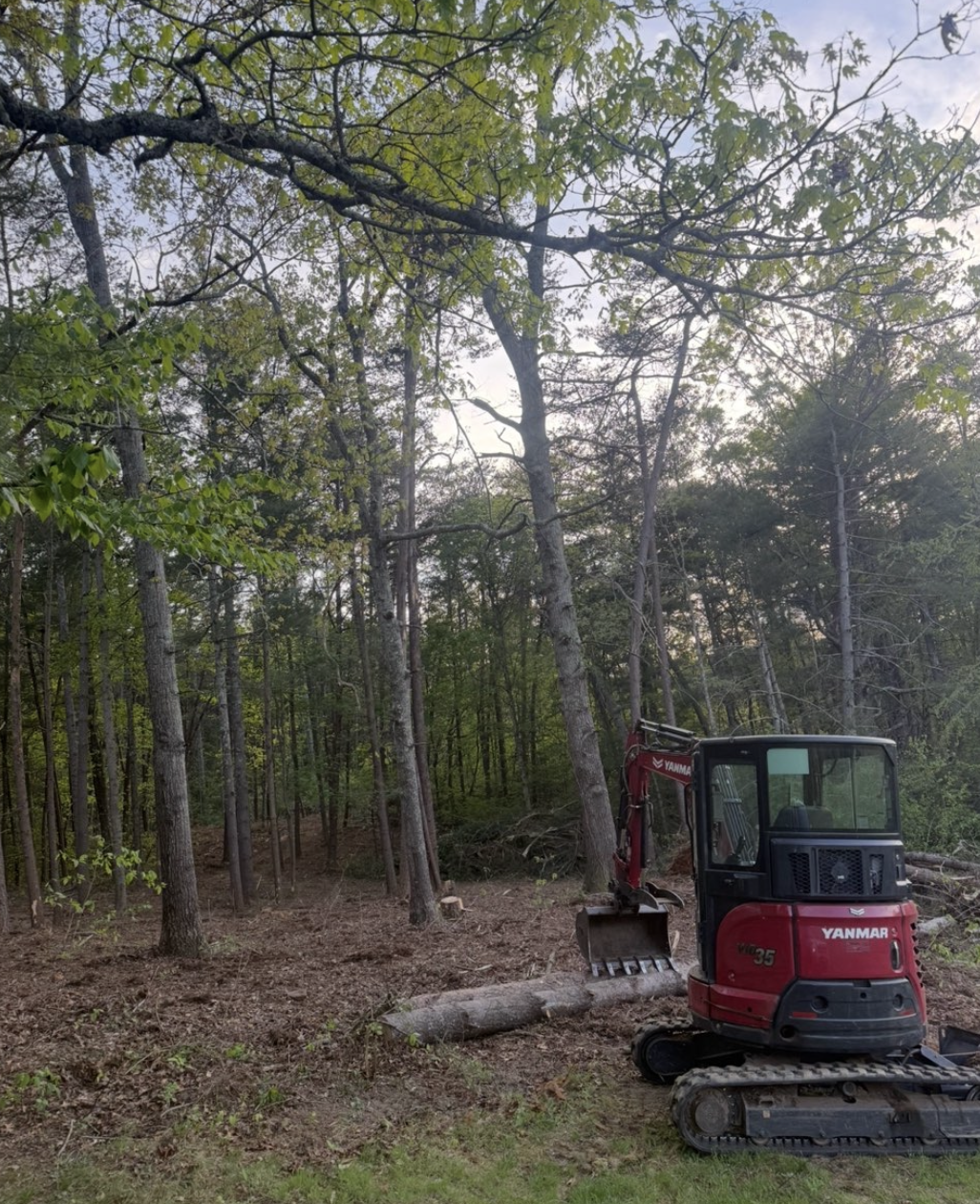 Site preparation completed for new construction in Greenville, South Carolina.