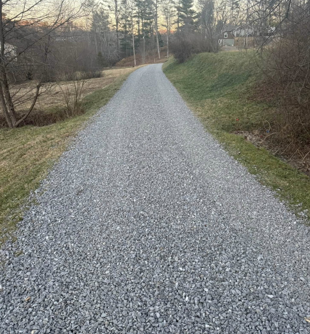 Forestry mulching services completed in Fletcher, NC reclaiming overgrown property.