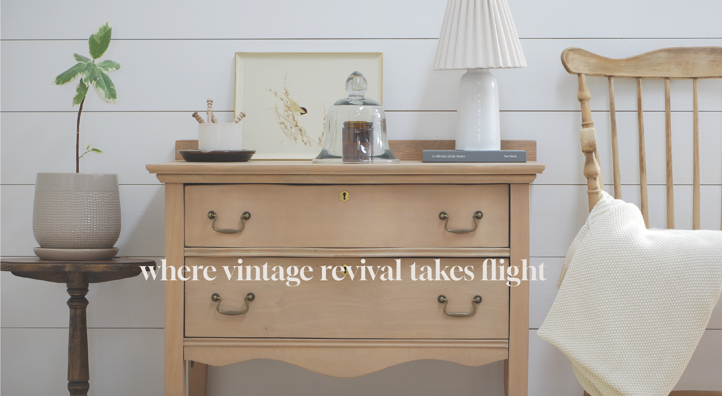 A vintage wooden dresser with brass handles decorated with a white table lamp, glass cloches, framed botanical art, and a book, with a wooden side table holding a potted plant nearby.