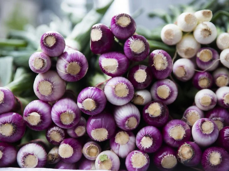 Mount Vernon Triangle Farmers Market
